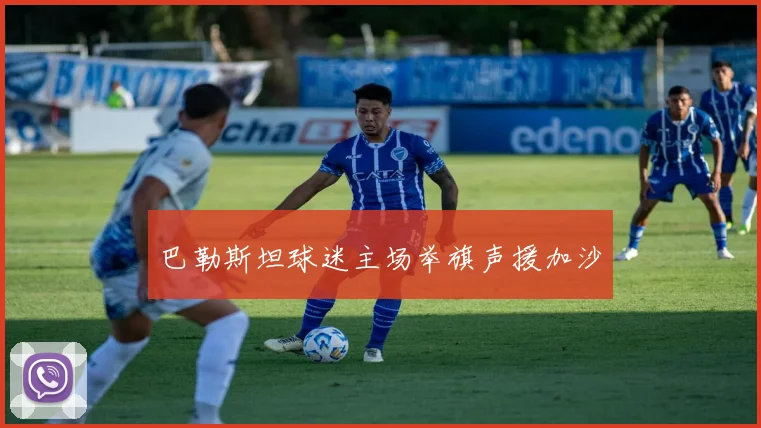 巴勒斯坦球迷主场举旗声援加沙