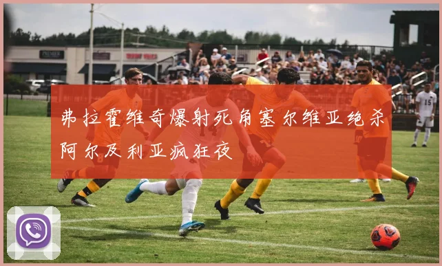 弗拉霍维奇爆射死角塞尔维亚绝杀阿尔及利亚疯狂夜