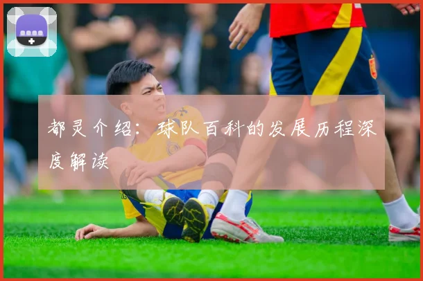 都灵介绍:球队百科的发展历程深度解读
