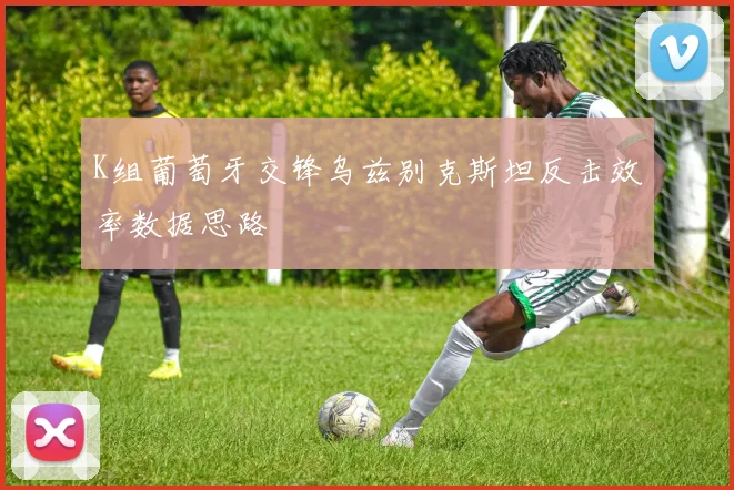 K组葡萄牙交锋乌兹别克斯坦反击效率数据思路