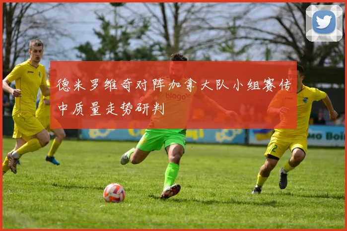 德米罗维奇对阵加拿大队小组赛传中质量走势研判