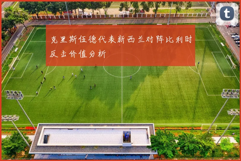 克里斯伍德代表新西兰对阵比利时反击价值分析